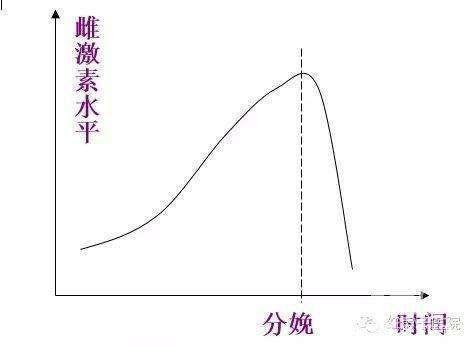 "产后的阴暗面",是妈妈们道不尽的辛酸!