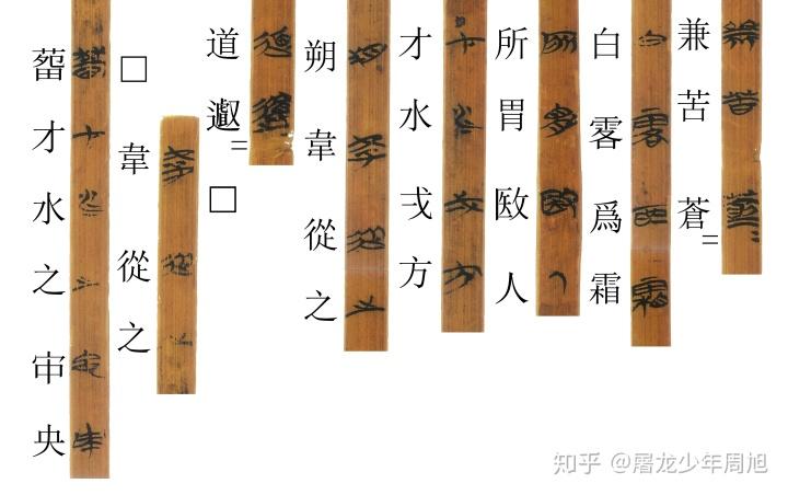 安大简28蒹葭对读