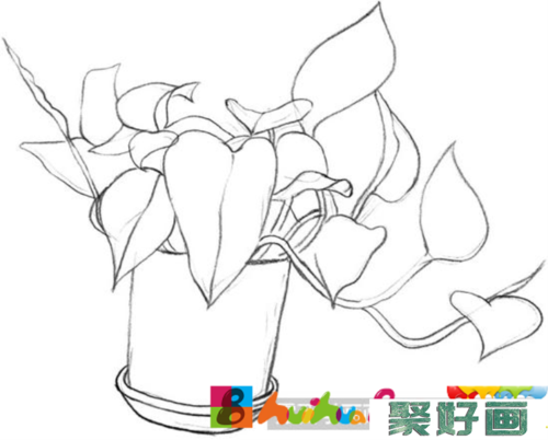 绿萝的画法是不是很简单呢?