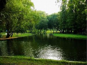 上海共青森林公园