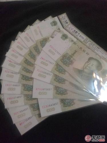 991大叶兰十五冠号十姐妹