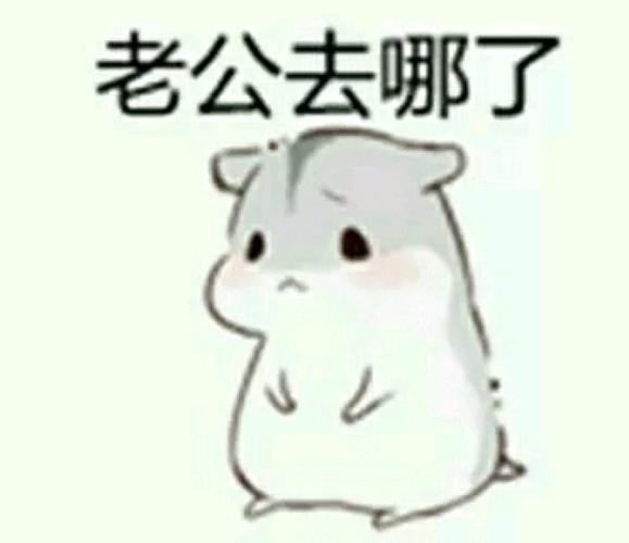 表情包#老公系列