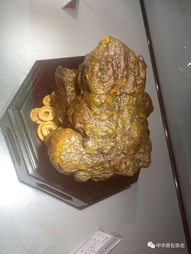 【金蟾】 戈壁石