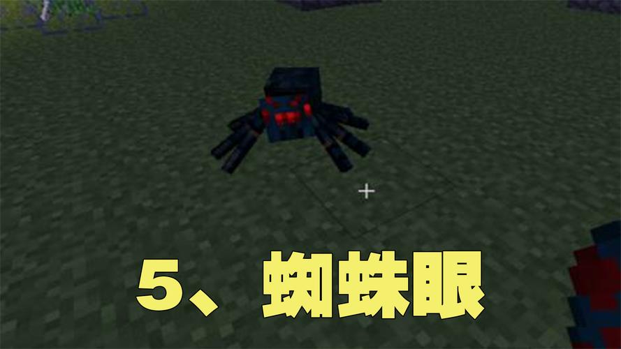 蜘蛛眼