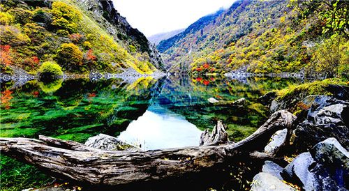 松坪沟秋彩 摄影 荫华