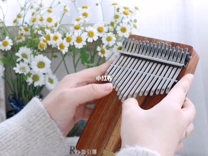 【拇指琴】《梦中的婚礼》经典钢琴曲_婚礼_钢琴曲_梦中的婚礼_娱乐