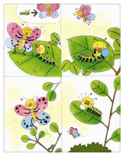 有一天,毛毛虫问蝴蝶