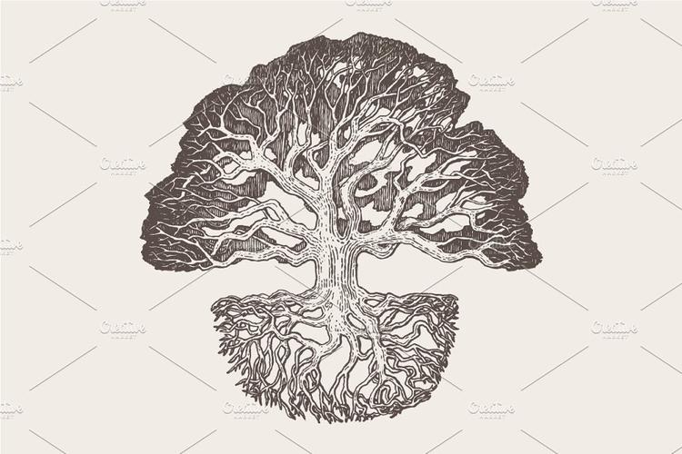 老橡树素描矢量插画illustrationofanoldoaktree