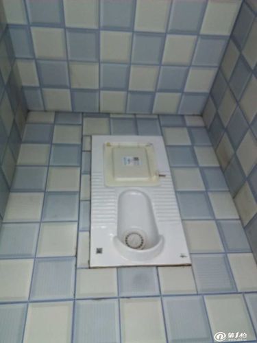 蹲便器济宁农村改厕  干封式新型粪尿分集生态卫生厕所满足了千万个