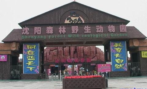 辽宁沈阳森林野生动物园