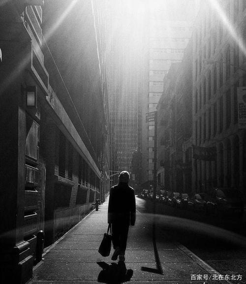 窘迫的生活像角落里的蟑螂一样,灯光一开,便四散隐藏