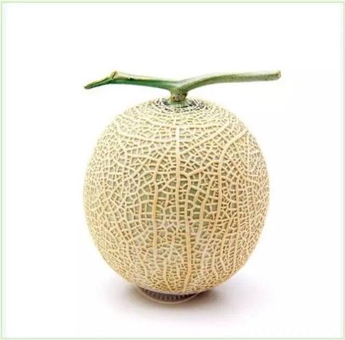 「悠然网纹瓜」原来是它!令吃瓜群众再也无法淡定