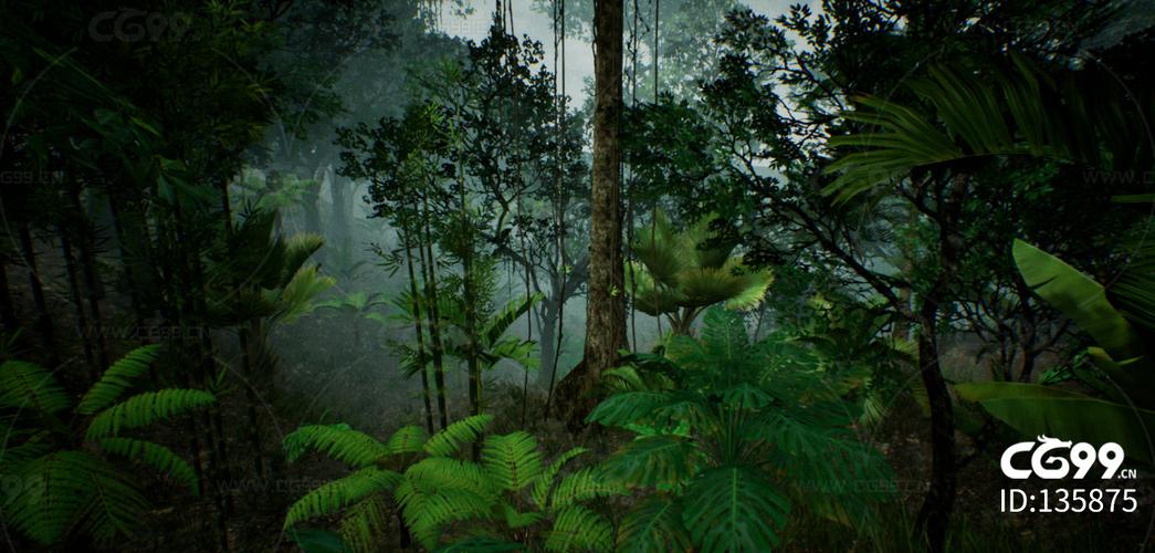 ue4 真实热带雨林 大自然场景 橡胶树 岩石 虚幻4