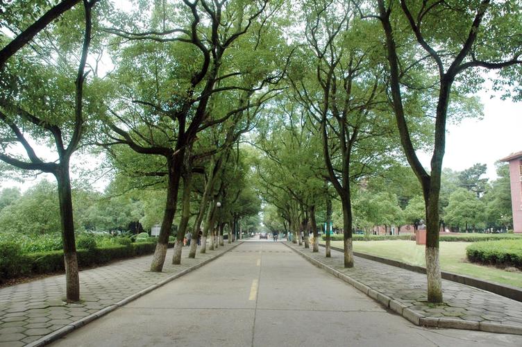 湖南农业大学东方科技学院校园风景140052