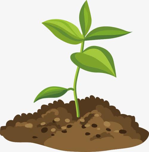 破土而出的小草