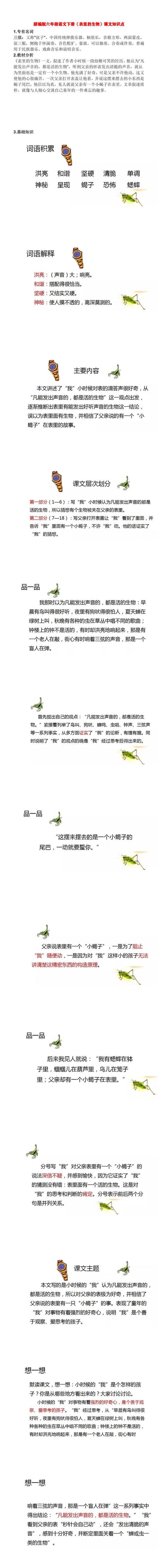 人教版部编本六年级下册语文《表里的生物》课文知识