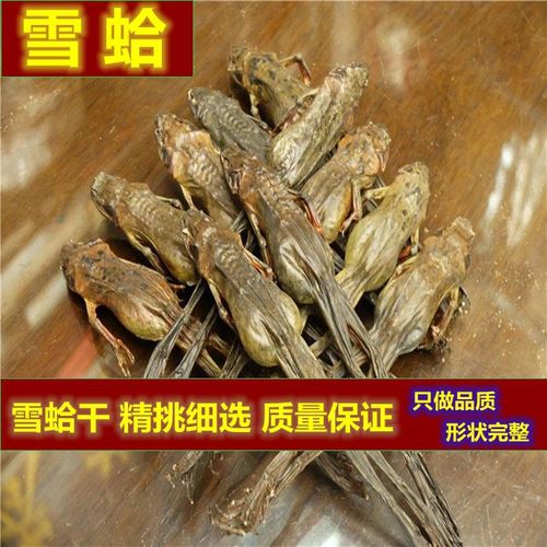 蛤士蟆质量保证 蛤蟆 林蛙 雪蛤250克包邮中要材长白山雪蛤干