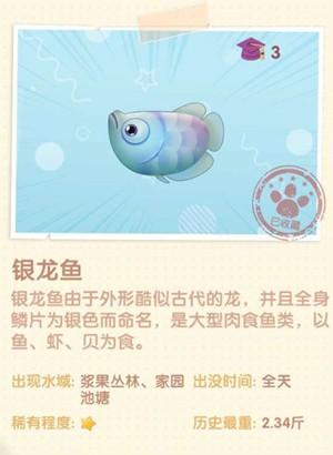 摩尔庄园手游银龙鱼在哪钓银龙鱼获取方法一览