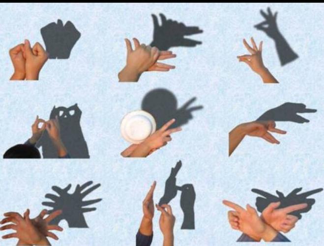 禹村镇中心幼儿园中三班科学小实验――《有趣的影子》