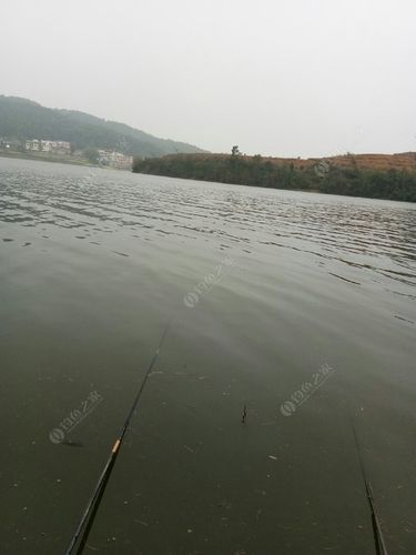 作案地点双山水库,找了个背风向阳的钓点,主要目标鲫鱼!4.5挂饵料,3.