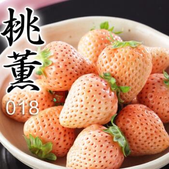 桃熏草莓10棵 15cm(含)-30cm(不含)