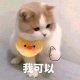 三土兀_小红书