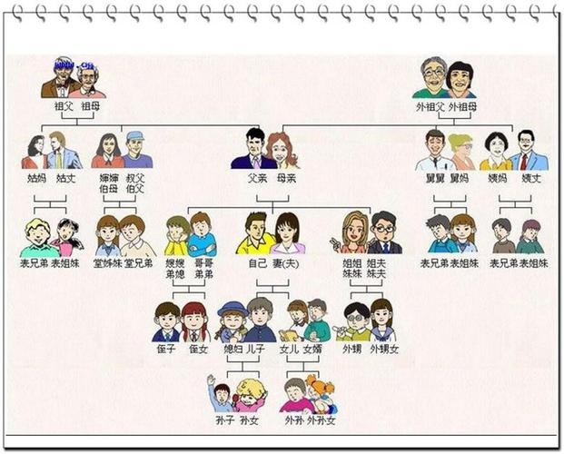  p>堂兄弟姐妹是家族中亲戚关系的一个称呼,是父亲的弟弟或哥哥的子女