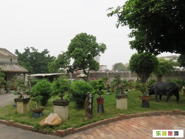 瑞岭盆景村_瑞岭盆景村门票价格_花都瑞岭盆景村旅游