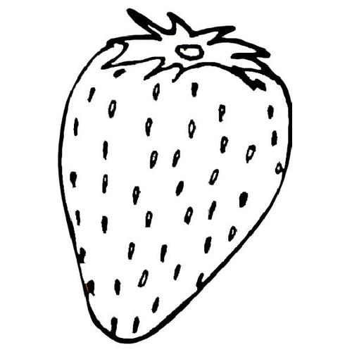 水果,草莓,水果,简笔画草莓简笔画