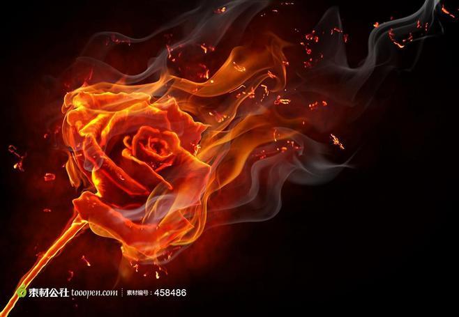 火焰玫瑰花高清素材图片下载现在加入素材公社即可参与传素材送现金