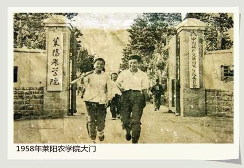 见证莱阳巨变!很多老照片都是第一次见!