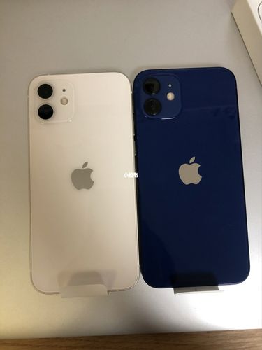 iphone12真机蓝白对比_iphone_无滤镜_测评_iphone12