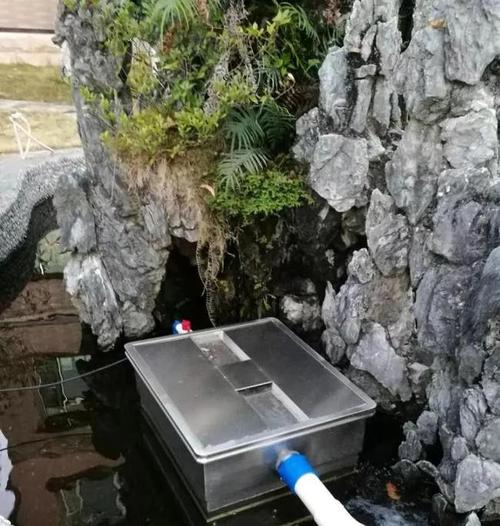养锦鲤必备的一款鱼池过滤器
