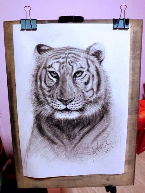 呆呆小老虎 #素描