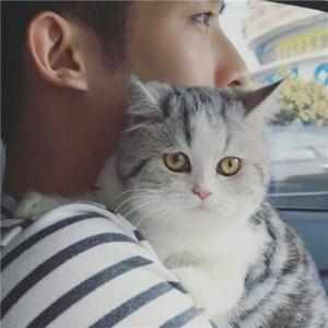 男生带猫咪qq头像