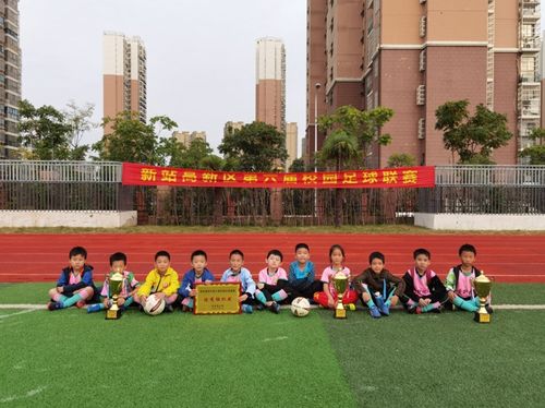 合肥幼专附小天水路小学:绿茵星舞台,足球梦未来