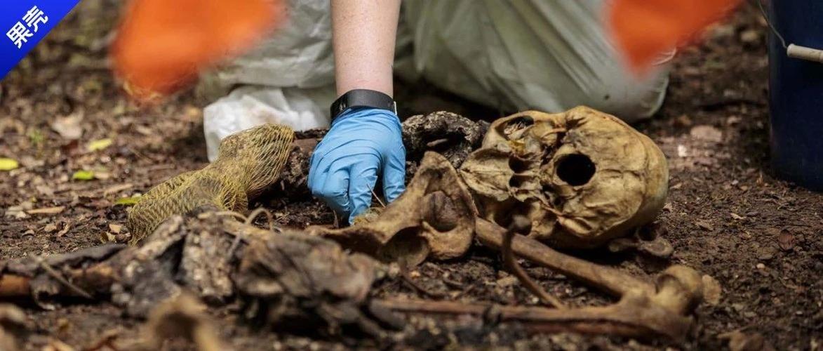 腐烂的尸体不能说话却可以拆穿不在场证明