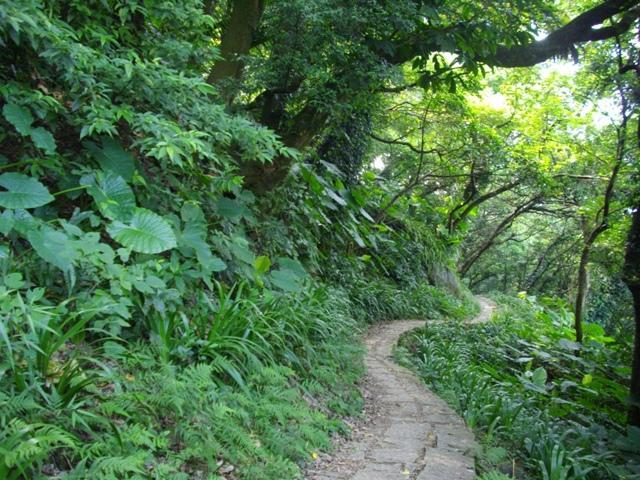               弯弯小路,款款绕行