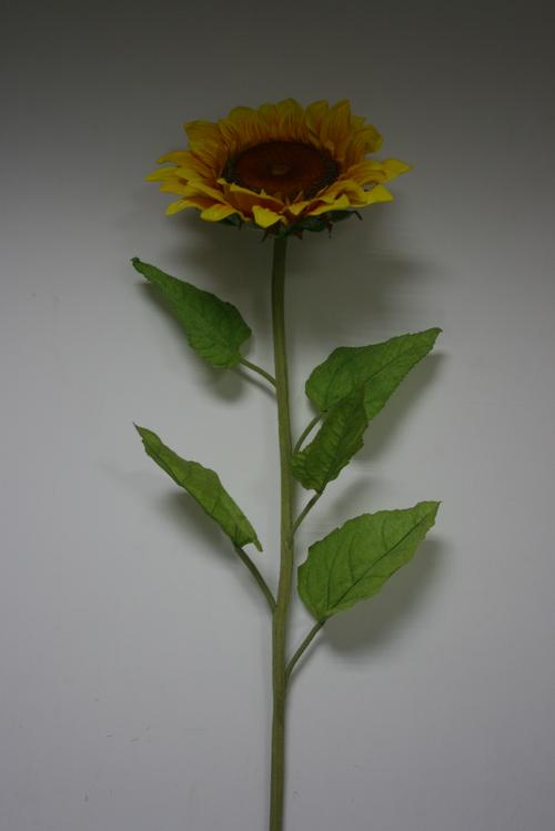 大向日葵