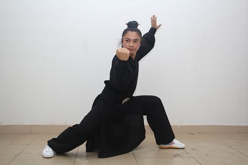 武当太极拳13式