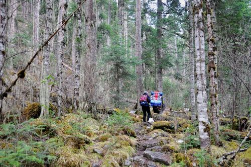《懵懂闯入的秘境》~玉匹沟