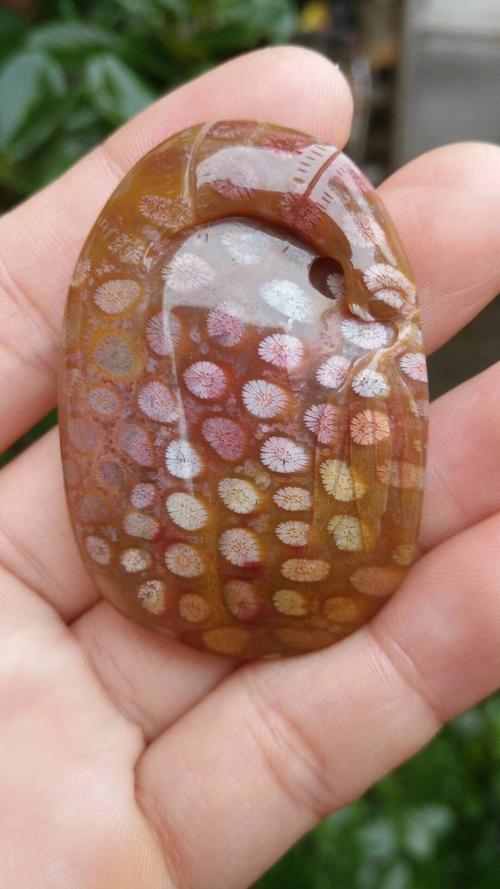 171悠悠说珊瑚化玉之科普篇