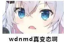 表情包丨二次元沙雕表情包5