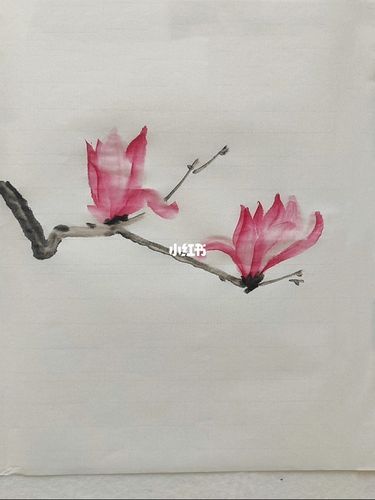 国画〖辛夷花〗_腮红_国画教程_知识_艺术