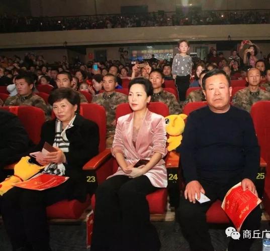 商丘市2020年春节联欢晚会由中共商丘市委宣传部主办,商丘广播电视台