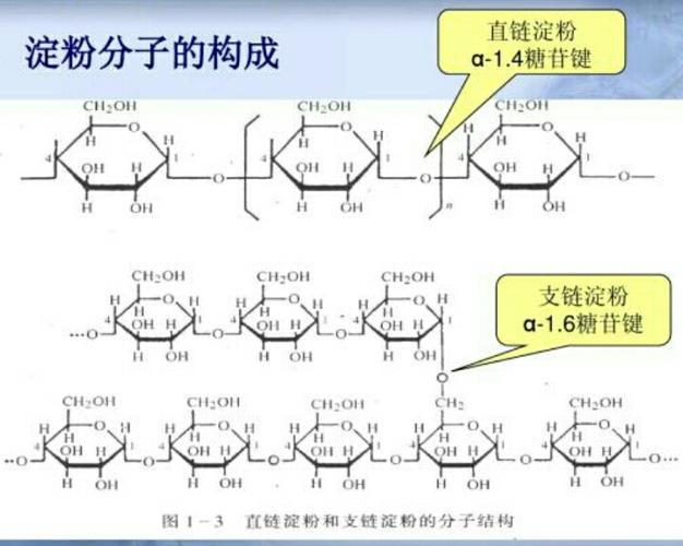 淀粉结构式.