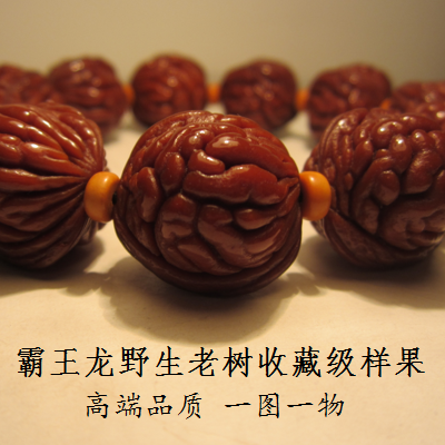 精品秦岭野生正圆金鱼肚疙瘩刺龙纹男士桃胡 老树霸王