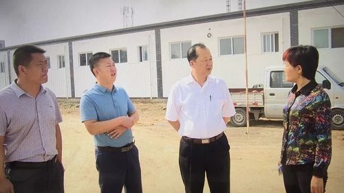日前,芮城县委书记,风陵渡经济开发区党工委书记董旭光到陌南镇梧桐