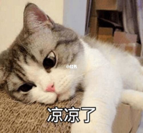 脑子发懵,一片空白_教资_面试_教师资格证面试_教育