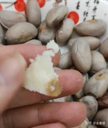 菠萝蜜吃了有什么作用?